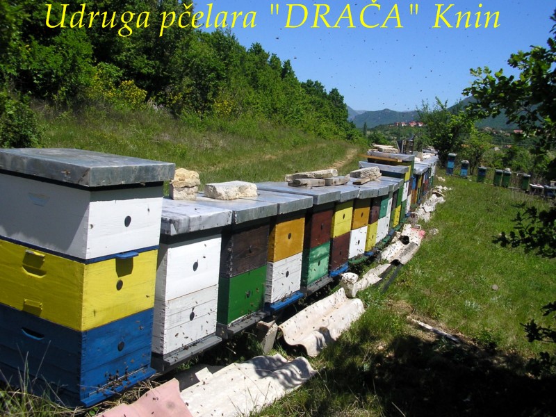 UP_Draca_Knin (7)